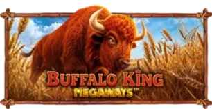 ภาพเกม Buffalo King Megaways ที่ pun123 รวบรวมไว้